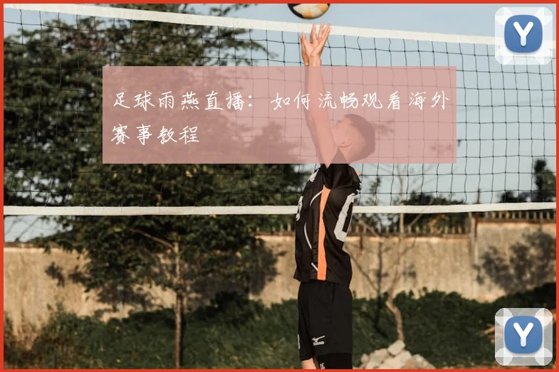 足球雨燕直播：如何流畅观看海外赛事教程
